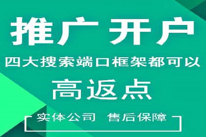 案例分析：百度竞价托管助力行业龙头